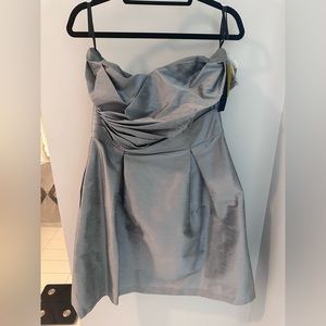 Silver Alfred Sung Dress. Size 16. Never worn.